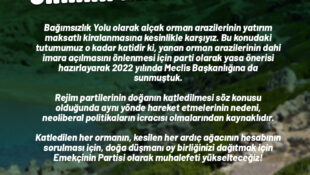 Alçak Olan Yalnızca İcar Edilecek Orman Arazisi Değil!